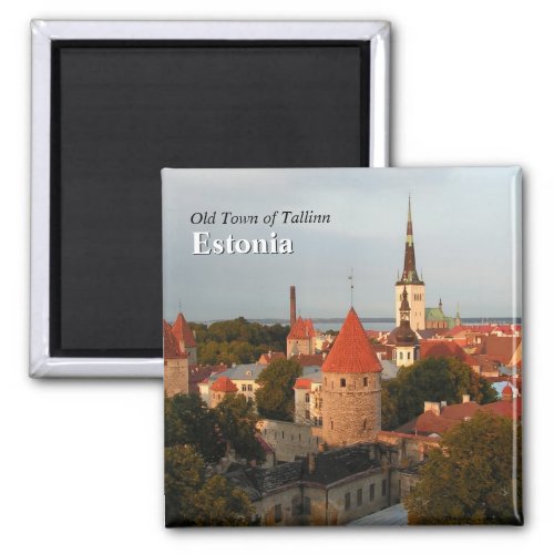 Tallinn Old Town Estonia Magnet