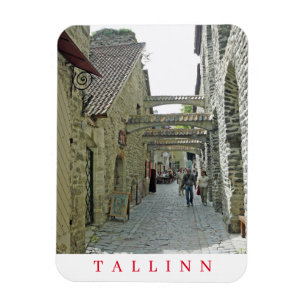 Tallinn St. Catherine’s Passage view fridge magnet