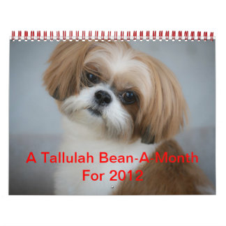 Tallulah Bean Calendar Cute Shih Tzu
