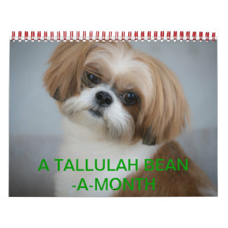 Tallulah Bean Calendar Cute Shih Tzu 2014