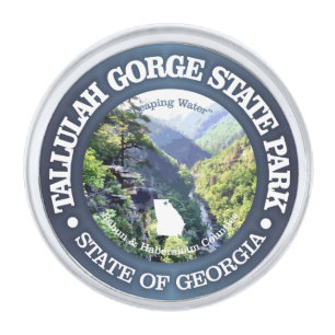 Tallulah Gorge SP Silver Finish Lapel Pin
