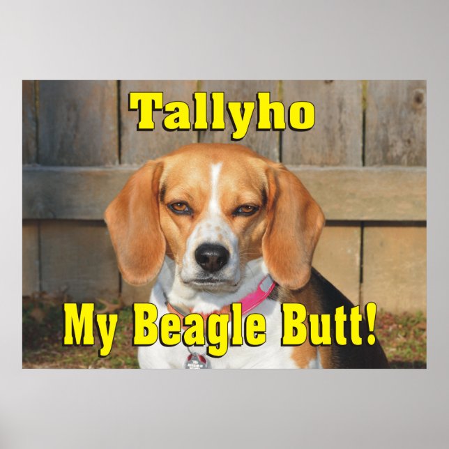 Tallyho My Beagle Butt! Grumpy Beagle Poster (Front)