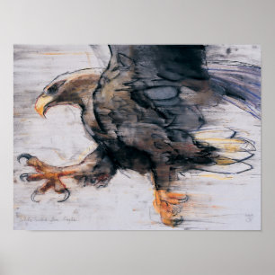 Talons - White tailed Sea Eagle 2001 Poster