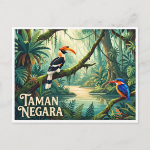 Taman Negara Kuala Tahan Malaysia Postcard