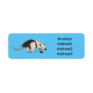 Tamandua cartoon illustration label