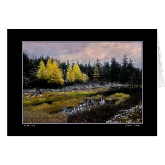 Tamarack Tempest Cards (Front Horizontal)
