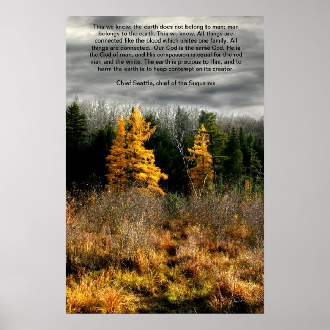 Tamarack Three Seattle Quote Card, Seattle Quote Poster (Front)