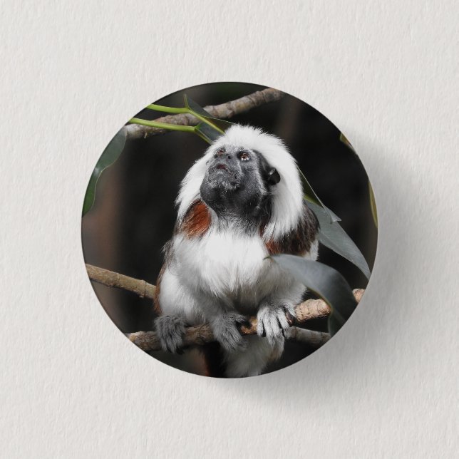 Tamarin Badge Button (Front)