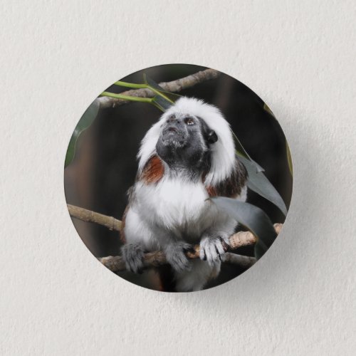 Tamarin Badge Button