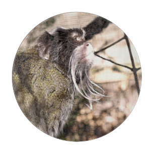 TAMARIN MONKEY CUTTING BOARD