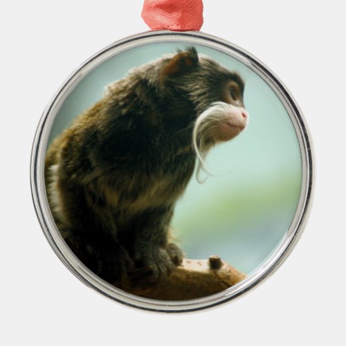 Tamarin Monkey Metal Ornament