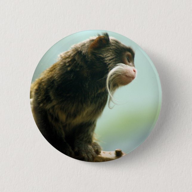 Tamarin Monkey Pinback Button (Front)