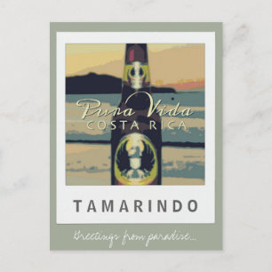 Tamarindo Beach Costa Rica Postcard
