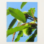 Tame chestnuts . planner<br><div class="desc">Taken in my garden, old chestnut tree.</div>