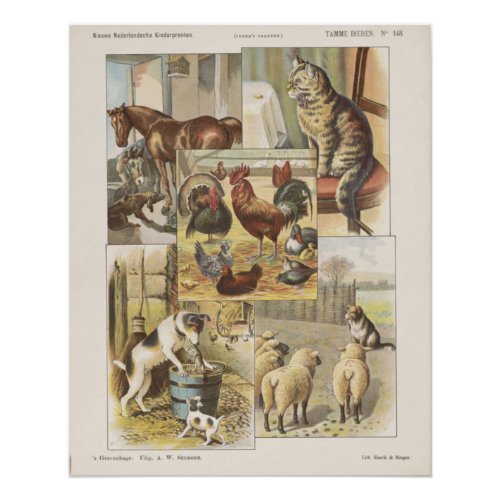 Tame Farm Animal Collection Ephemeral Poster