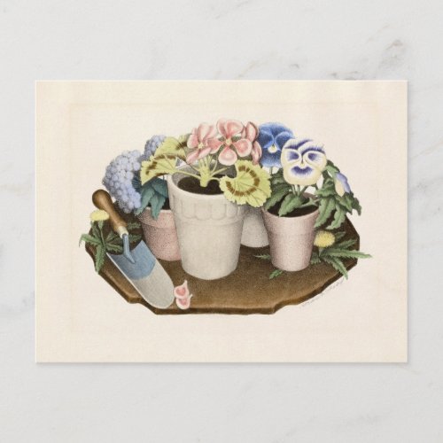 Tame Flowers by Grant Wood Postcard
