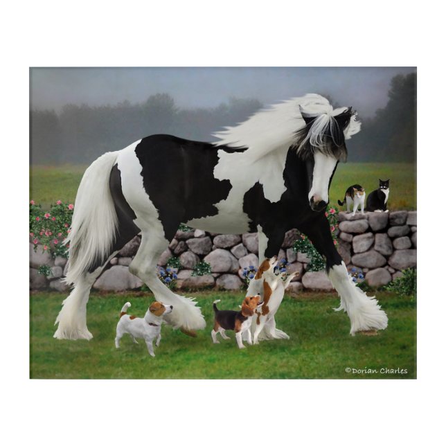 "Tamlin & The Pups" Acrylic Print (Front)