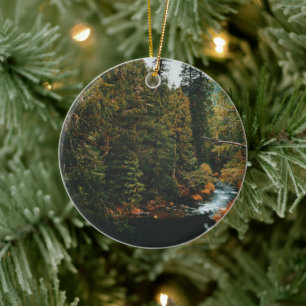 Tamolitch Falls ( Blue Pool) Ceramic Ornament