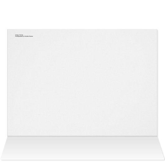 Tampa bay (Inside Horizontal (Top))