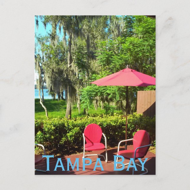 Tampa Bay Florida Postcard (Front)