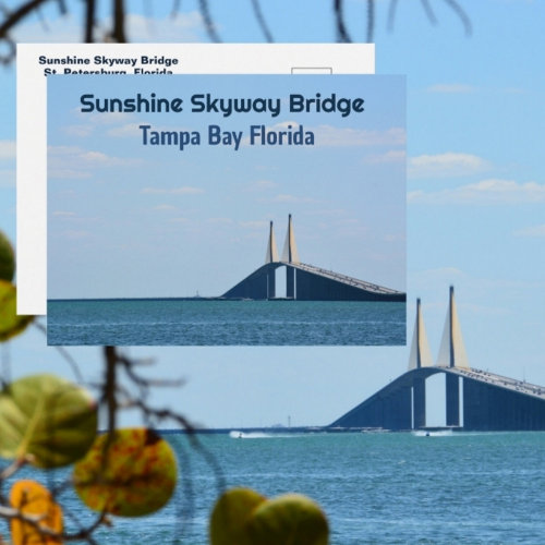 Tampa Bay Florida Sunshine Skyway Photographic Postcard