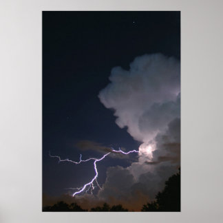 Tampa Bay Lightning Poster