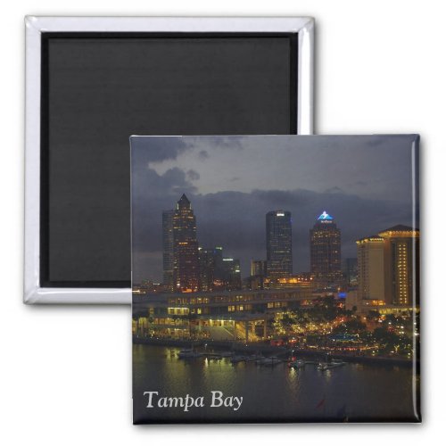Tampa Bay Night Skyline Magnet