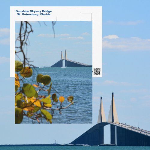 Tampa Bay Sunshine Skyway Bridge Photographic Postcard
