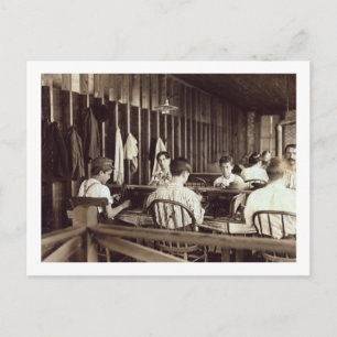 Tampa Cigar Boys, 1909 Postcard