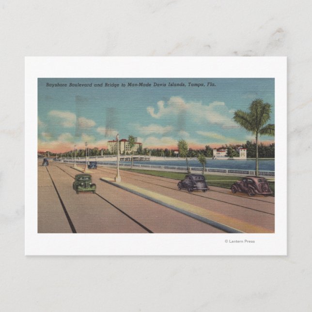 Tampa, FL - View of Bayshore Blvd, Bridge Postcard (Front)