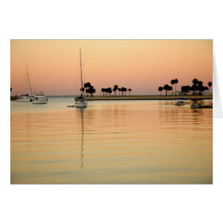 Tampa, Florida Cards