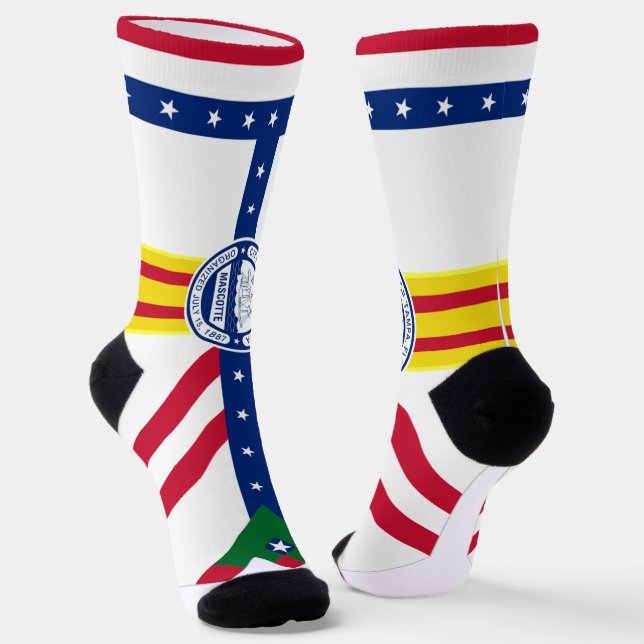 Tampa (Florida) city flag Socks (Angled)