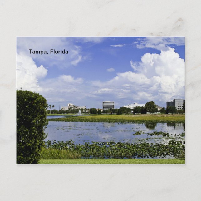 Tampa, Florida Postcard (Front)