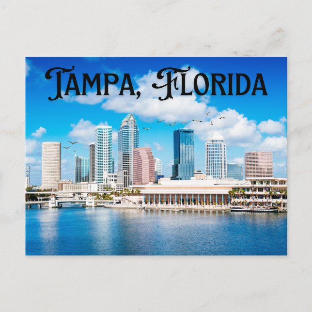 Tampa, Florida  Postcard (Front)