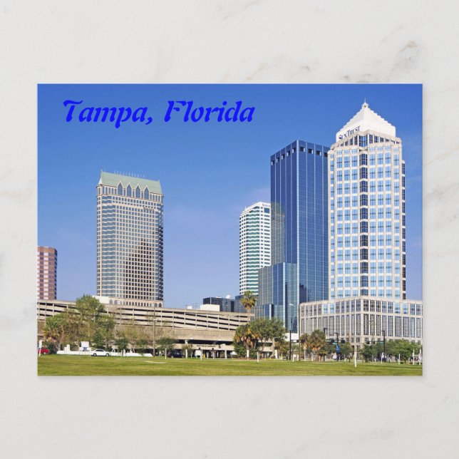 Tampa, Florida skyline Postcard (Front)