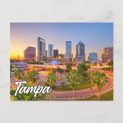 Tampa Florida United States Postcard