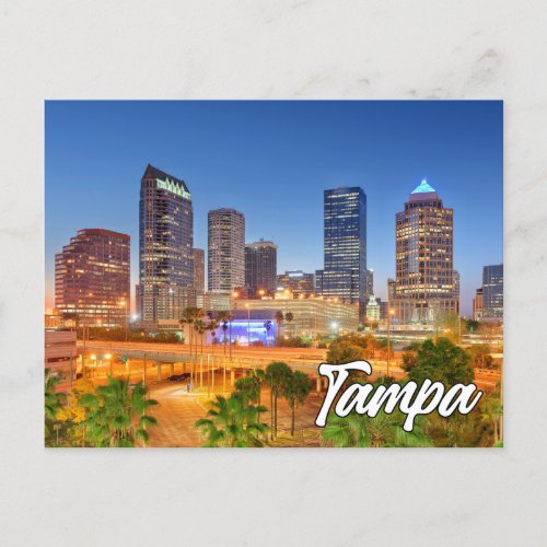 Tampa Florida United States Postcard