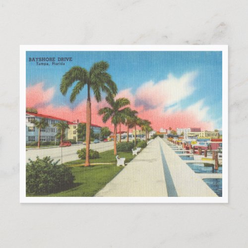 Tampa Florida vintage Bayshore Drive and Marina Postcard