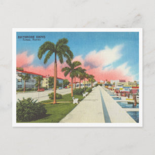 Tampa, Florida vintage Bayshore Drive and Marina Postcard
