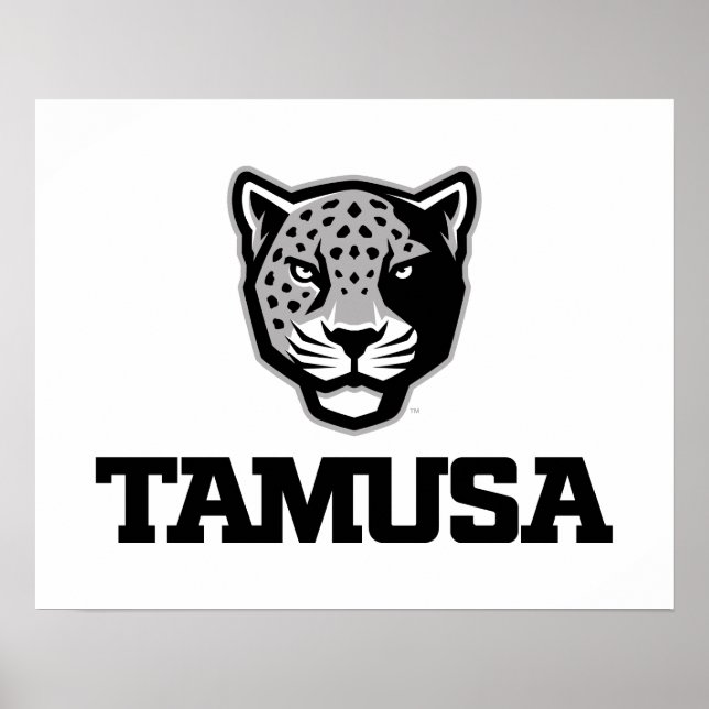 TAMUSA Jaguars Poster (Front)