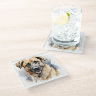 TAN AND BLACK LARGE ANATOLIAN SHEPHERD DOG GLASS COASTER