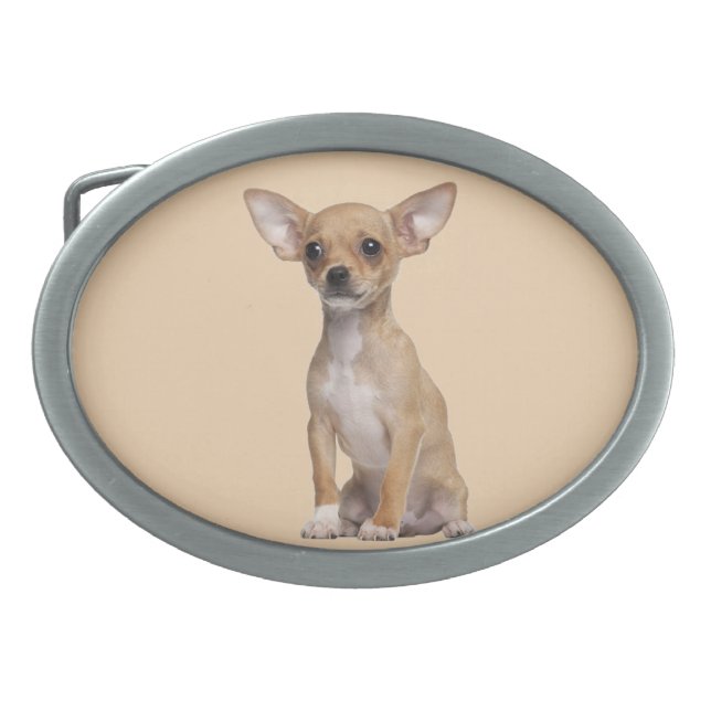 Tan and White Chihuahua Belt Buckle (Front)