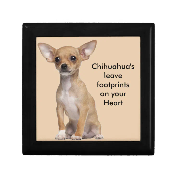 The Lovable Chihuahua Paint Your Own Dog-Gone Awesome Ceramic Keepsake 
