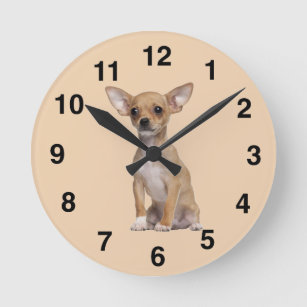 Tan and White Chihuahua Round Clock