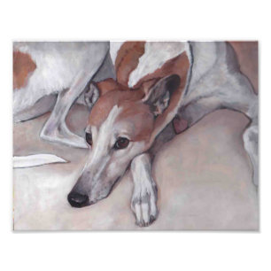 Tan and White Greyhound Dog Art Photo Print