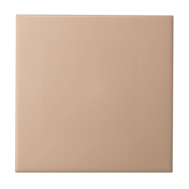 Tan Bagel Brown Kitchen and Bathroom Ceramic Tile (Front)