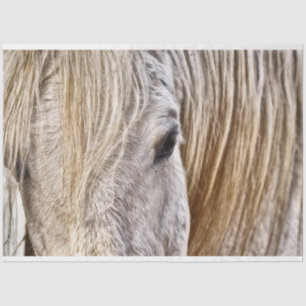 tan barn horse tissue paper