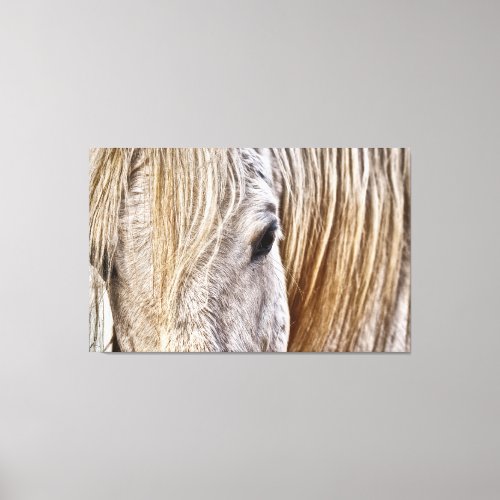 tan barn horse wrapped canvas
