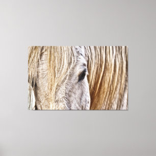 tan barn horse wrapped canvas print