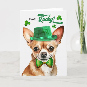 Tan Chihuahua Dog Feelin' Lucky St Patrick's Day Holiday Card